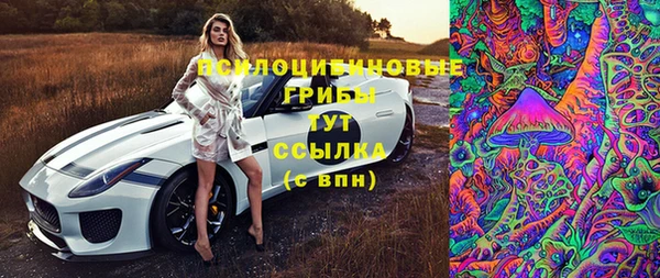молекула духа Алзамай