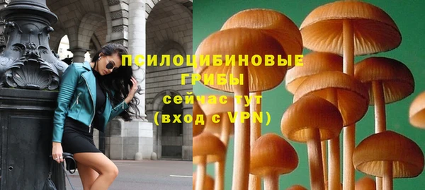 гашик Алексеевка