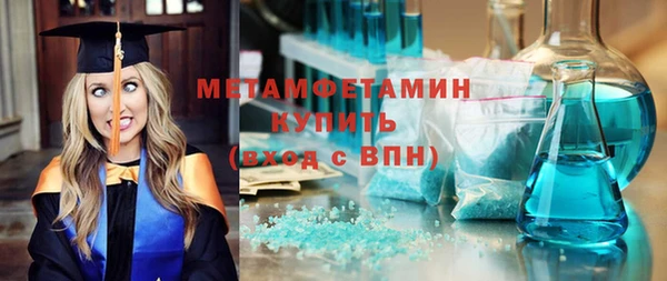 прущие грибы Осинники