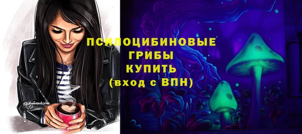 гашик Алексеевка